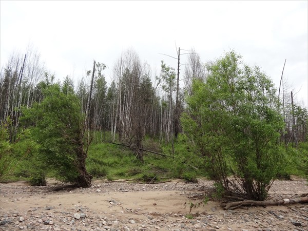 Конда Витим 221